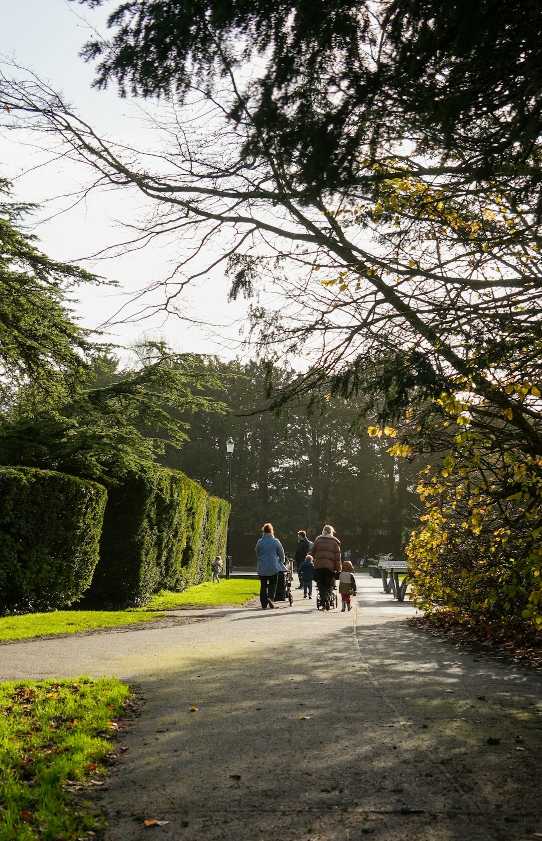 elderly people walking in park