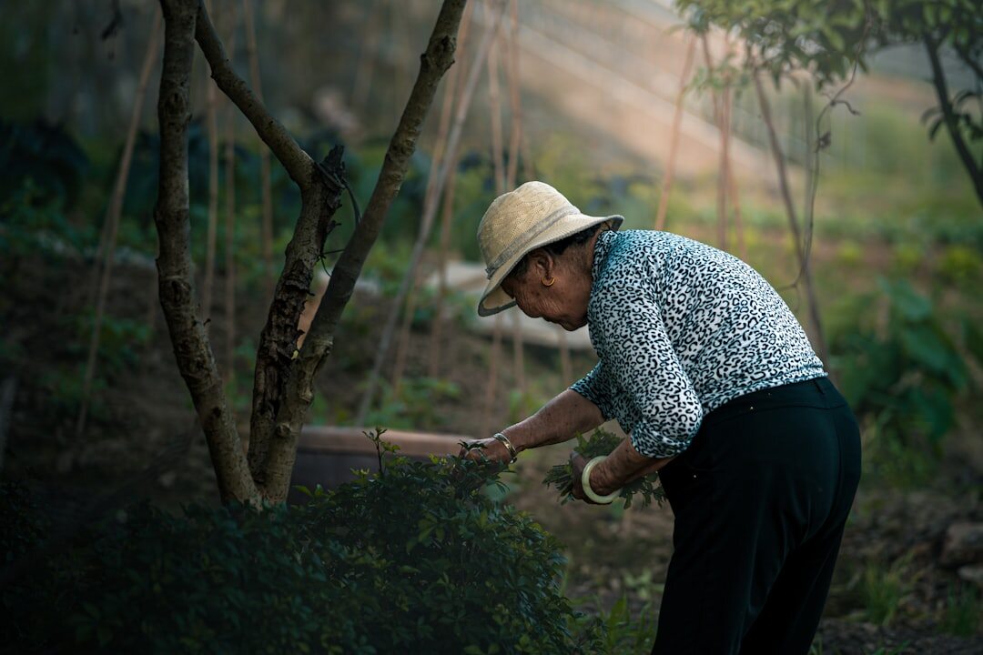 elderly gardening outdoors